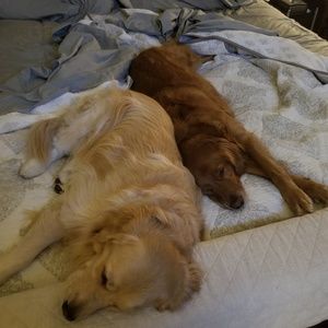 Meet your Posher, Michael